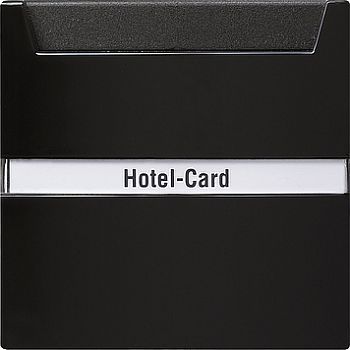 014047 Выключатель для карт, используемых в отелях Черный Gira S-color фото