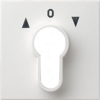 066403 Накладка выключателя с ключом для жалюзи белый глянец Gira фото