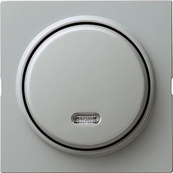 015342 Кнопочный выключатель для малого напряжения до 42 В с подсветкой Серый Gira S-color фото