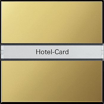 0140604 Выключатель для карт, используемых в отелях Латунь Gira фото